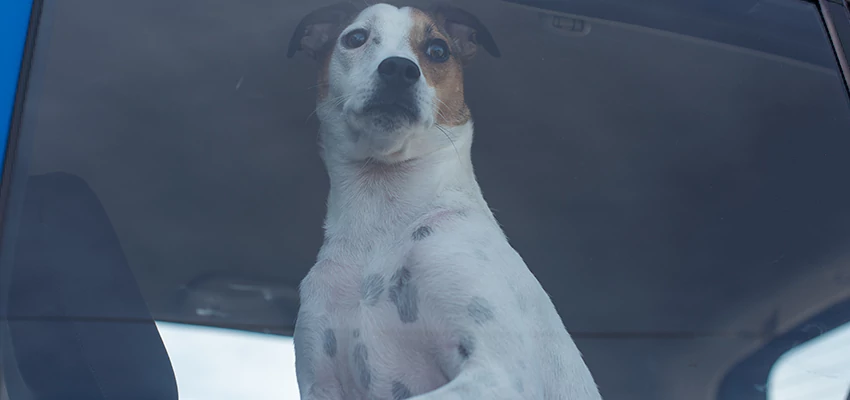 Car Lockout Solutions in Victorville, California